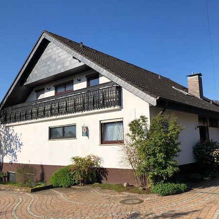 Nickel Haus Appartement Edenkoben Buitenkant foto