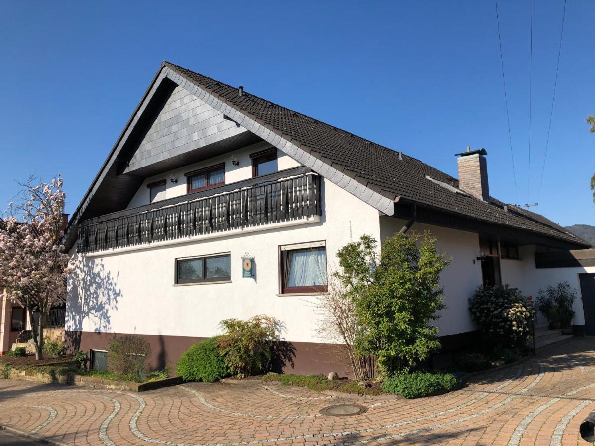 Nickel Haus Appartement Edenkoben Buitenkant foto