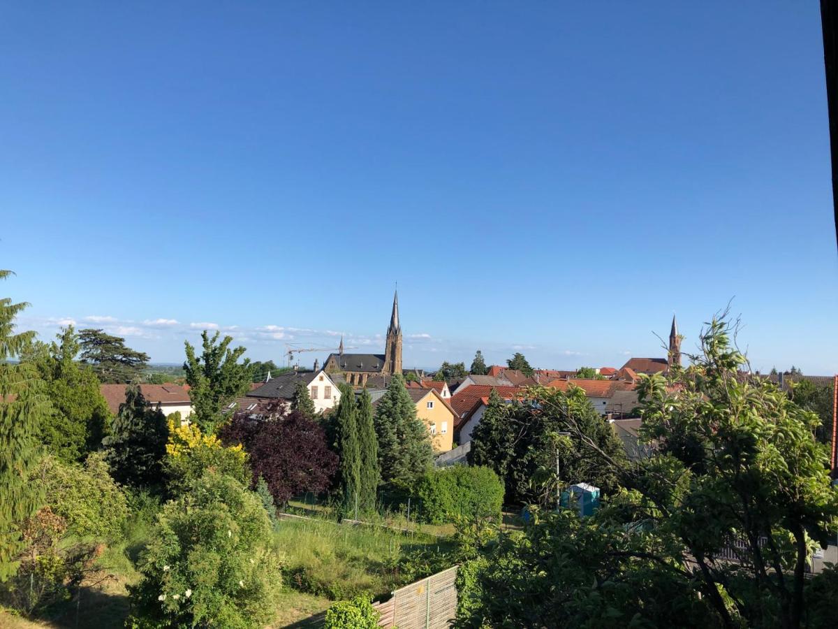 Nickel Haus Appartement Edenkoben Buitenkant foto