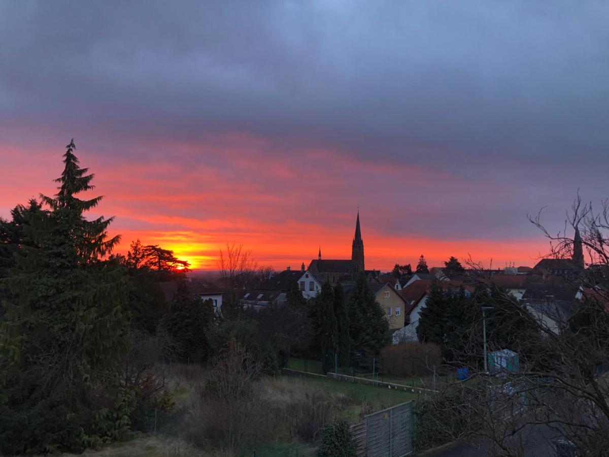 Nickel Haus Appartement Edenkoben Buitenkant foto