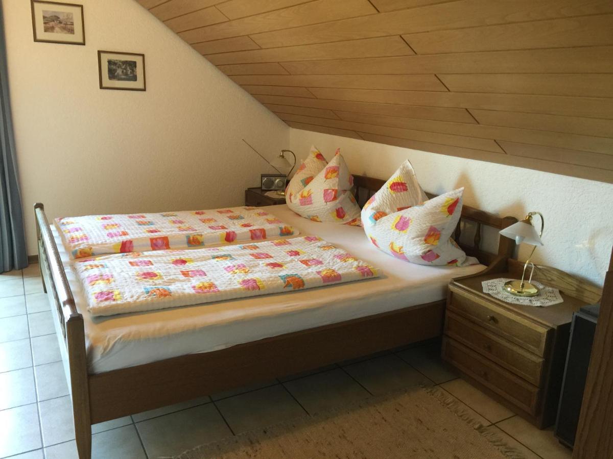 Nickel Haus Appartement Edenkoben Buitenkant foto