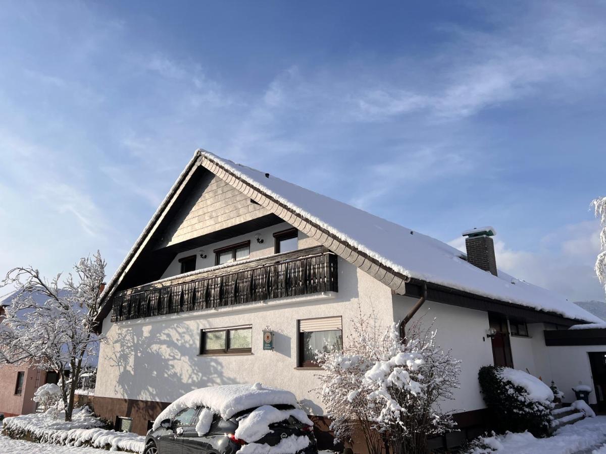 Nickel Haus Appartement Edenkoben Buitenkant foto